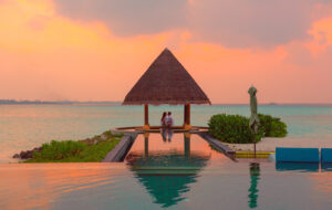 Mehr über den Artikel erfahren Quote of the Day