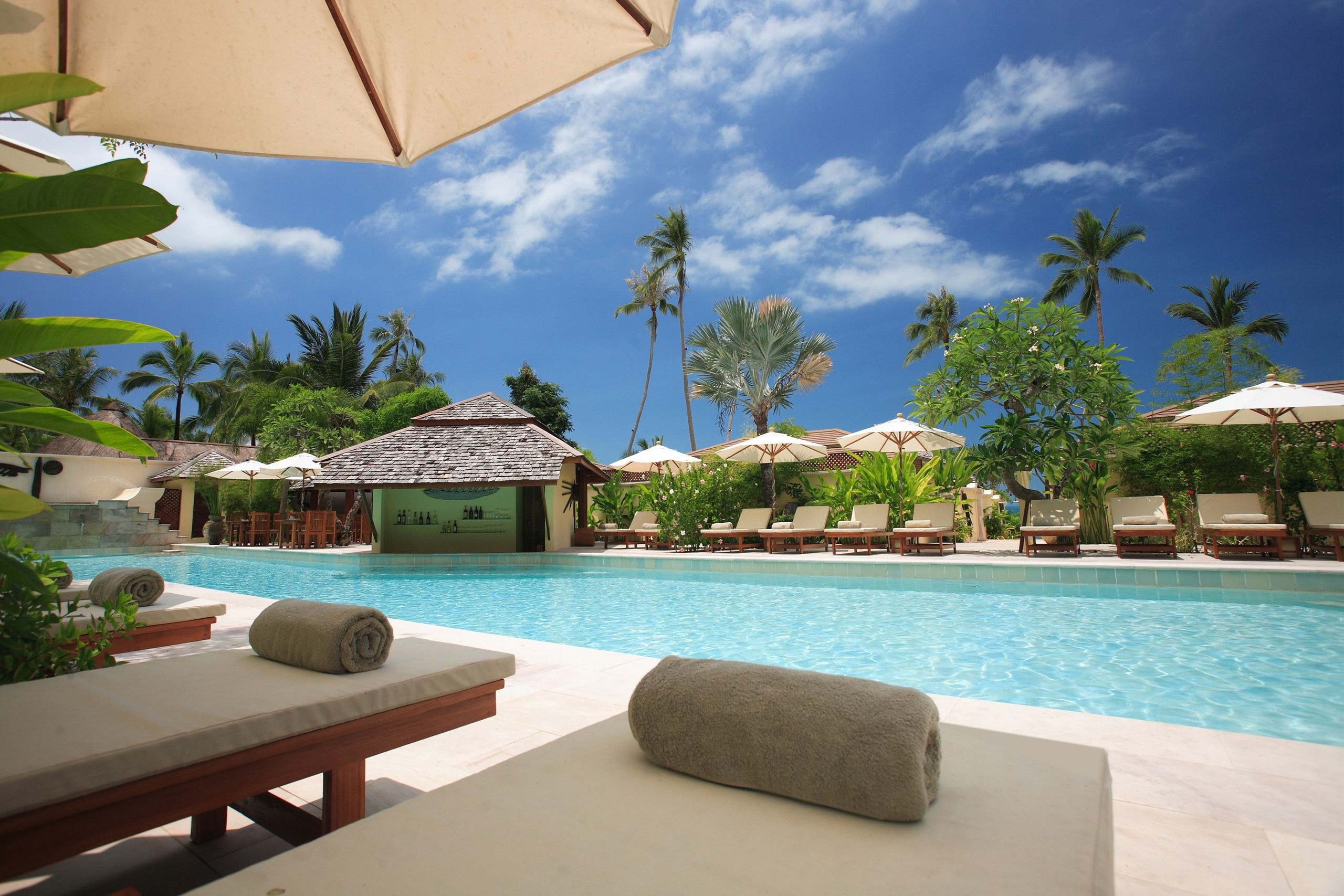 Mehr über den Artikel erfahren September in Palmeria Hotel